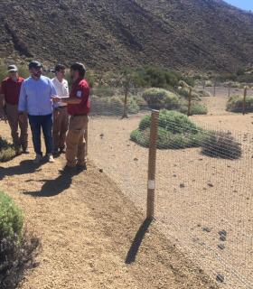 El Parque Nacional del Teide instala una red de grandes vallados para la protección de la flora autóctona. · foto 2