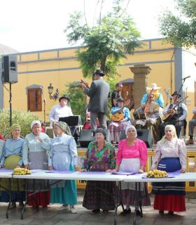 La Plaza de Santiago se anima este sábado con la Fiesta del Plátano de Gáldar. · foto 7