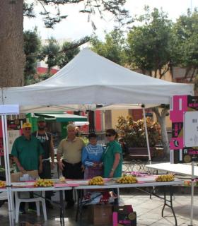La Plaza de Santiago se anima este sábado con la Fiesta del Plátano de Gáldar. · foto 8