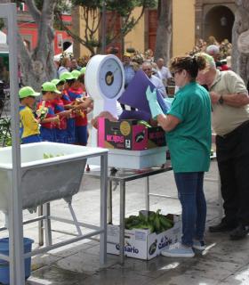 La Plaza de Santiago se anima este sábado con la Fiesta del Plátano de Gáldar. · foto 6