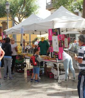 La Plaza de Santiago se anima este sábado con la Fiesta del Plátano de Gáldar. · foto 2