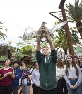 ¡Cenicienta, a volar! · foto 2