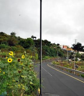 La Matanza de Acentejo transforma en led 161 puntos de alumbrado en calles. · foto 2
