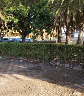 Lamentable estado del Campus de La ULL. · foto 1