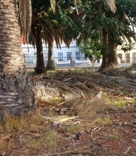 Lamentable estado del Campus de La ULL. · foto 3