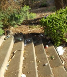 Lamentable estado del Campus de La ULL. · foto 4