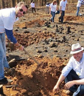 Más de 400 árboles son plantados por el personal de SAGULPA en Tejeda. · foto 1
