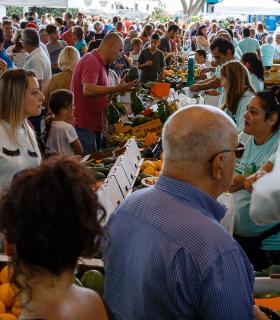 La 3ª Feria del Aguacate de Invierno de Mogán vende más de 5.300 kilos de ejemplares. · foto 3