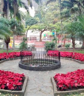 La Concejalía de Parques y Jardines planta cerca de 2.000 flores de pascua en Arucas. · foto 1