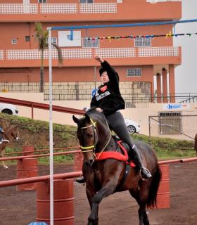 Demostración de arado con yuntas y siembra de sementero, zunchado de ruedas de carreta y carrera de sortija a caballo. San Juan. Tacoronte, 21-01-2017 · foto 91
