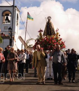 Feria de Ganado de San Antonio Abad. Tacoronte. 22-01-2017 · foto 59