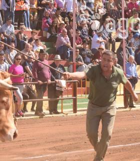 Arrastre de Ganado. Fiestas de San Antonio Abad. La Matanza de Acentejo. 05-02-2017 · foto 34