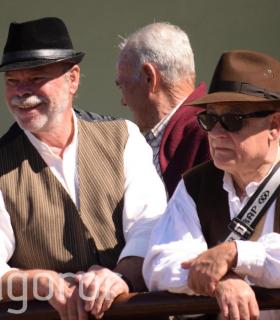 Arrastre de Ganado. Fiestas de San Antonio Abad. La Matanza de Acentejo. 05-02-2017 · foto 41