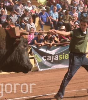 Arrastre de Ganado. Fiestas de San Antonio Abad. La Matanza de Acentejo. 05-02-2017 · foto 43