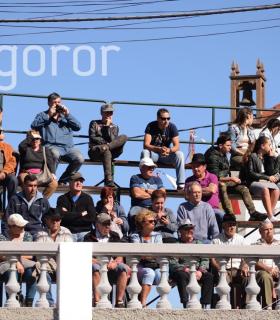 Arrastre de Ganado. Fiestas de San Antonio Abad. La Matanza de Acentejo. 05-02-2017 · foto 24