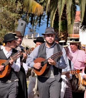 Arrastre de Ganado. Fiestas de San Antonio Abad. La Matanza de Acentejo. 05-02-2017 · foto 90
