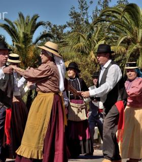 Arrastre de Ganado. Fiestas de San Antonio Abad. La Matanza de Acentejo. 05-02-2017 · foto 89