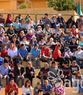 Arrastre de Ganado. Fiestas de San Antonio Abad. La Matanza de Acentejo. 05-02-2017 · foto 23