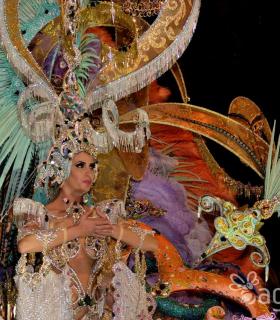 Cabalgata anunciadora del Carnaval de Santa Cruz de Tenerife 2017 · foto 14