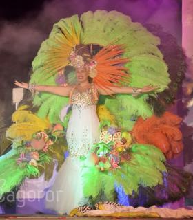 Gala de Elección Reina de la Piñata Chica de Tacoronte. Carnaval 2017 · foto 42