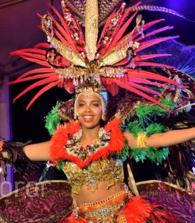 Gala de Elección Reina de la Piñata Chica de Tacoronte. Carnaval 2017 · foto 29