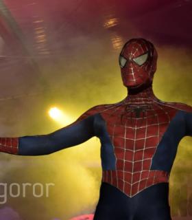 Gala de Elección Reina de la Piñata Chica de Tacoronte. Carnaval 2017 · foto 9