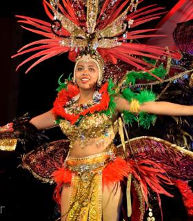 Gala de Elección Reina de la Piñata Chica de Tacoronte. Carnaval 2017 · foto 32