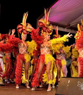 Gala de Elección Reina de la Piñata Chica de Tacoronte. Carnaval 2017 · foto 87