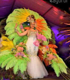 Gala de Elección Reina de la Piñata Chica de Tacoronte. Carnaval 2017 · foto 97