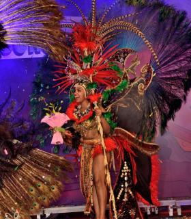 Gala de Elección Reina de la Piñata Chica de Tacoronte. Carnaval 2017 · foto 100