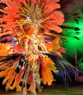 Gala de Elección Reina de la Piñata Chica de Tacoronte. Carnaval 2017 · foto 26