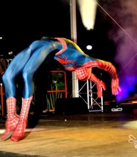 Gala de Elección Reina de la Piñata Chica de Tacoronte. Carnaval 2017 · foto 8