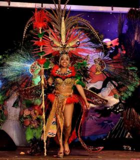 Gala de Elección Reina de la Piñata Chica de Tacoronte. Carnaval 2017 · foto 33
