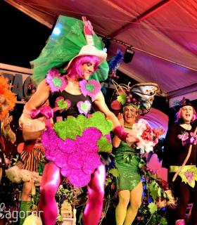 Gala Miss Mosto 2017. Piñata Chica de Tacoronte. Carnavales · foto 30