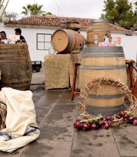 Celebración del día de Canarias en Tacoronte. 30-05-2017 · foto 28