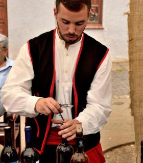 Celebración del día de Canarias en Tacoronte. 30-05-2017 · foto 22
