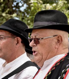 Romeria de San Isidro Labrador, 2017. Tacoronte. · foto 58