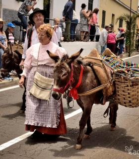 Romeria de San Isidro Labrador, 2017. Tacoronte. · foto 42