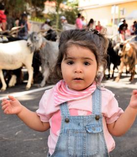 Romeria de San Isidro Labrador, 2017. Tacoronte. · foto 47