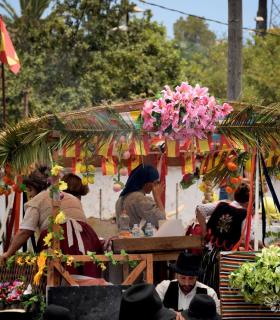 Romeria de San Isidro Labrador, 2017. Tacoronte. · foto 76