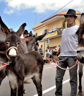 Romeria de San Isidro Labrador, 2017. Tacoronte. · foto 29