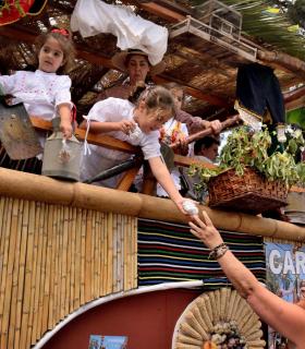 Romeria de San Isidro Labrador, 2017. Tacoronte. · foto 52