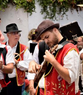Romeria de San Isidro Labrador, 2017. Tacoronte. · foto 23
