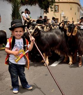 Romeria de San Isidro Labrador, 2017. Tacoronte. · foto 50