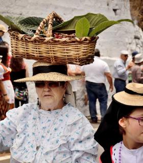 Romeria de San Isidro Labrador, 2017. Tacoronte. · foto 25