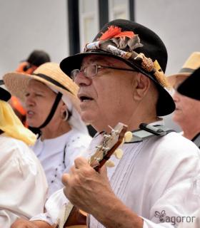 Romeria de San Isidro Labrador, 2017. Tacoronte. · foto 53
