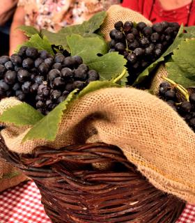 Martes de Tradiciones. Tacoronte 12-09-2017 · foto 18