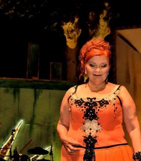 VI Certamen de Elección de La Reina de la 3ra. Edad. Tacoronte 2017 · foto 30