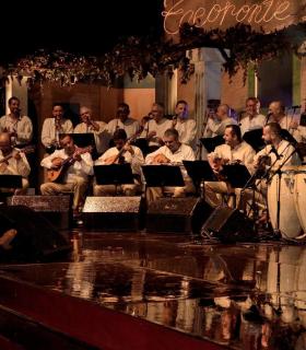 Gala de la Vendimia 2017. Fiestas del Cristo de Tacoronte · foto 86