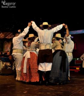 Gala de la Vendimia 2017. Fiestas del Cristo de Tacoronte · foto 56
